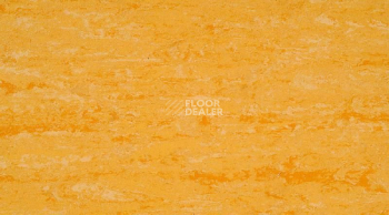 Линолеум Gerflor Linodur Sport 1074 Straw Yellow фото 1 | FLOORDEALER